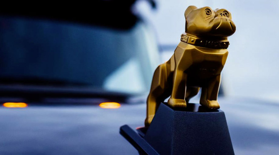 Gold Dog