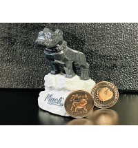 BMT Challenge Coin #1