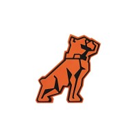 Mack Copper Foam Magnet