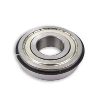 Pilot Bearing 25100046