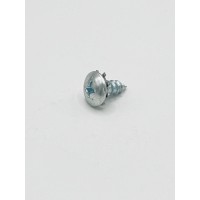 Door Panel Screw