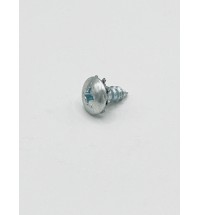 Door Panel Screw