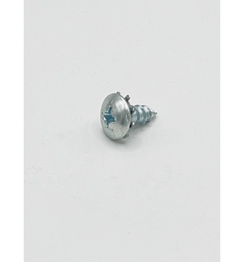 Door Panel Screw
