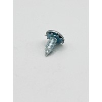 Door Panel Screw