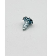 Door Panel Screw