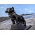 Limited Edition Black Bulldog Hood Ornament