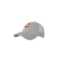 Silver Slouch Retro Logo Cap